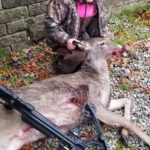 N/a Whitetail In Ohio By Kallyn Taylor