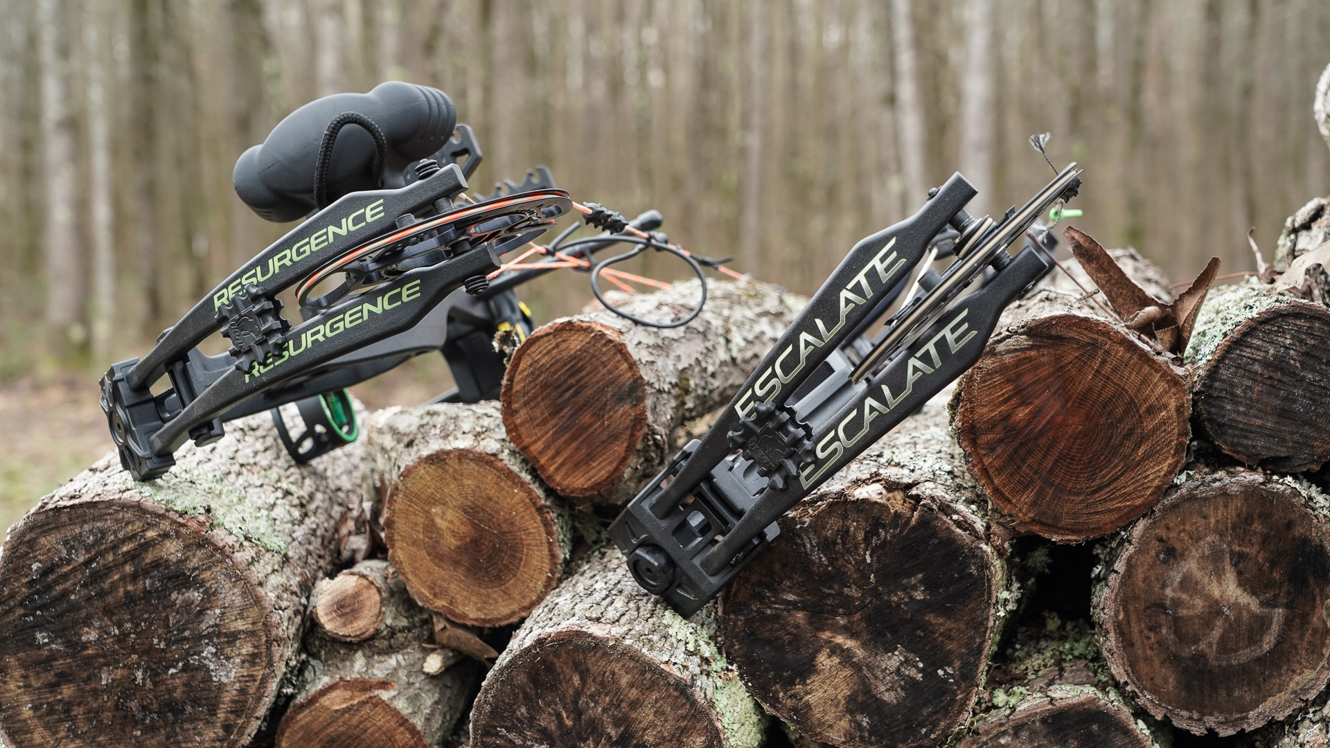 2022 Bear Escalate & Bear Resurgence RTH Bow Review