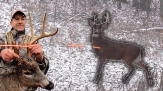 Non Typical Buck Surprises Bowhunter