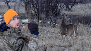 5 Feet From Buck! Ground Hunt With No Blind!