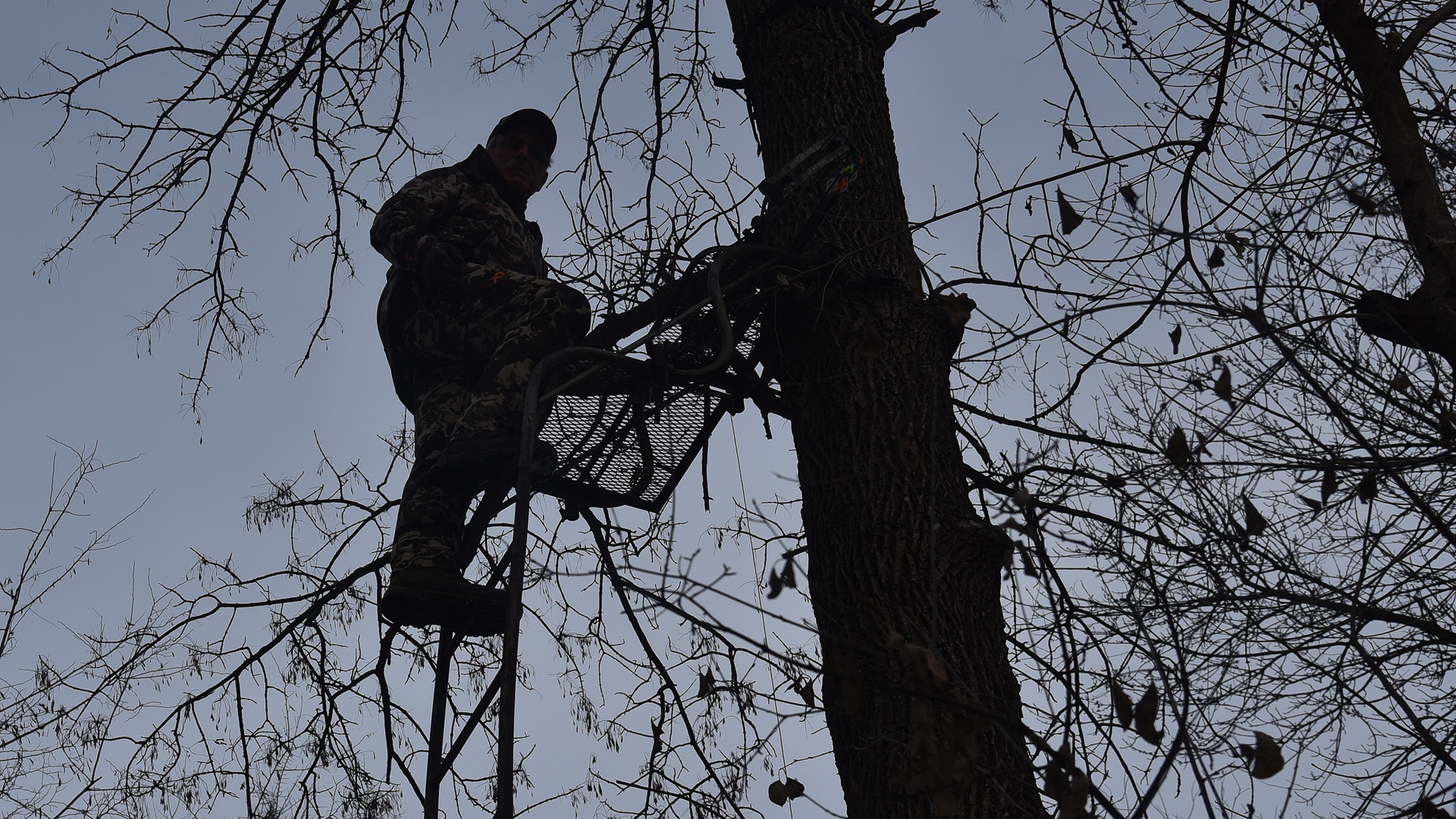Is it Time to Mandate Reporting, Investigating of Treestand Fatalities?