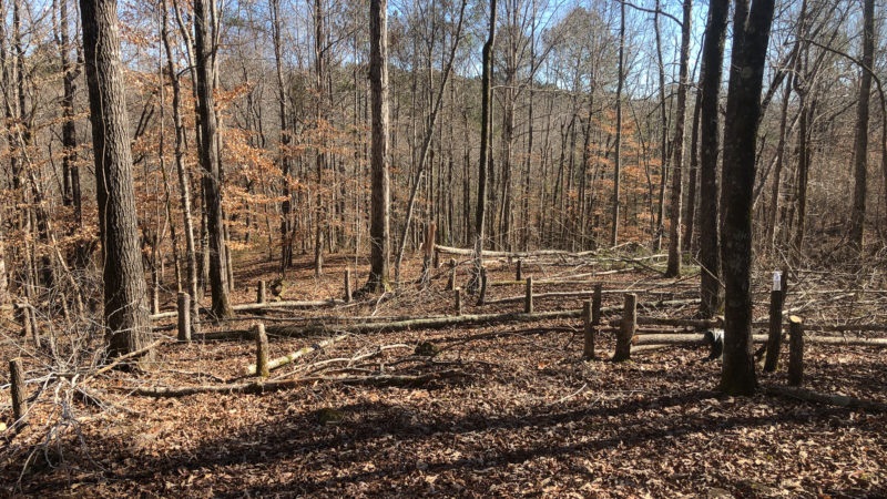 6 Winter Habitat Projects For Better Deer Hunting
