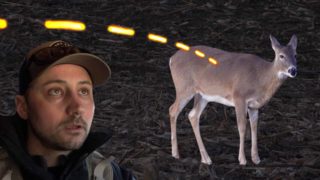 Bowhunting Whitetail Deer A Shot To The Heart!