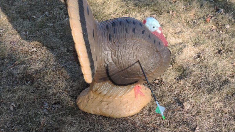 6 Reasons Bowhunting Is Better Than Gun Hunting For Turkeys