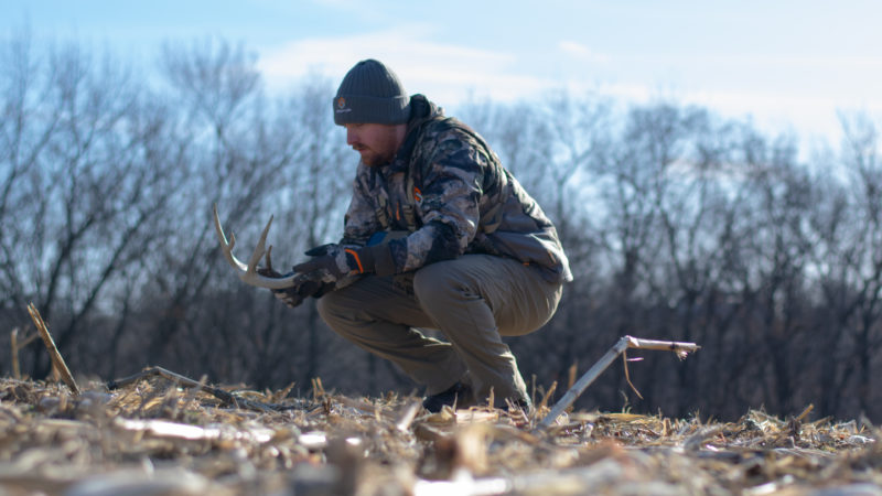 Learning From Shed Antlers: Murphy's Law On Whitetails