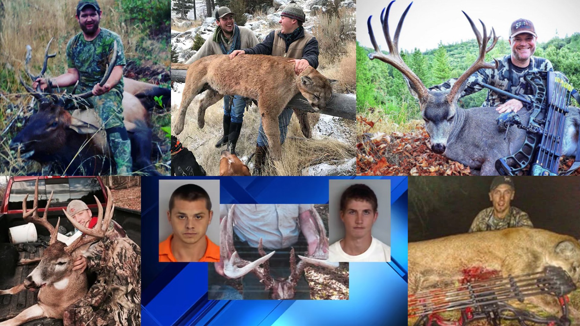 7 Poachers Busted By Social Media Posts