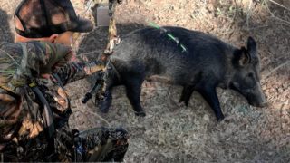 Bacon Quest '22 | Texas Hog Hunting