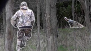 Bowhunter Chases Down Turkeys
