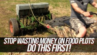 Stop Wasting Money On Food Plots Do This First!