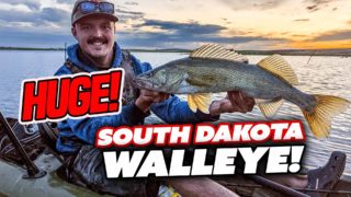 Huge South Dakota Walleye!