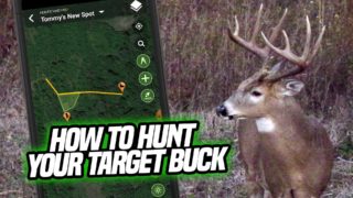 Hunting A Target Buck