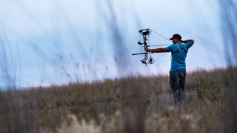 How Many Arrows Should You Shoot A Day To Prep For Deer Season?