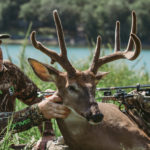 What You Need To Know For Hunting Velvet Bucks