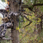 Is The First Sit Really The Best Sit For Deer?