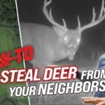 How To Steal Deer From Your Neighbors!!!