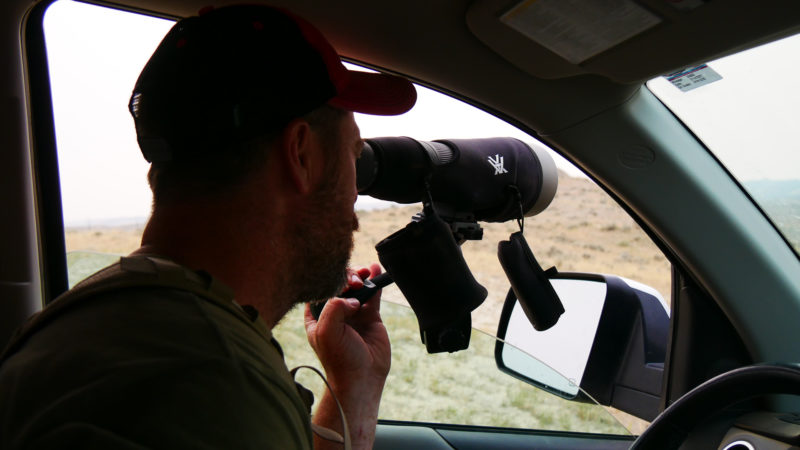 Best Optics For Long Distance Deer Scouting