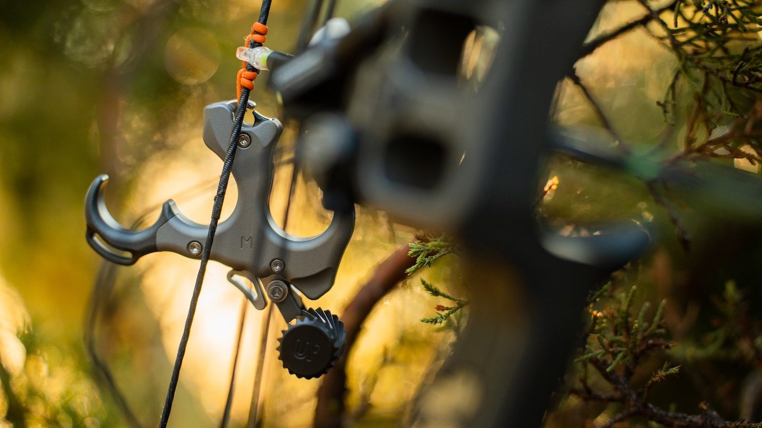 New Archery Releases for 2022