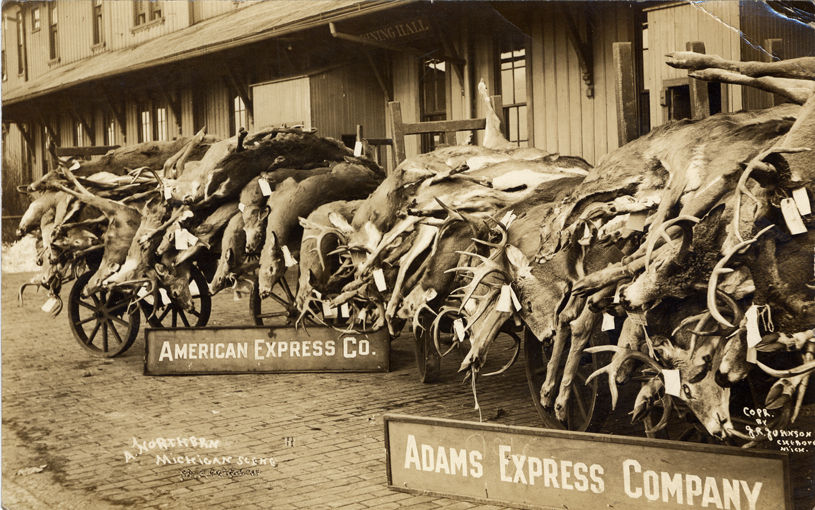 History of the Lacey Act Part 1