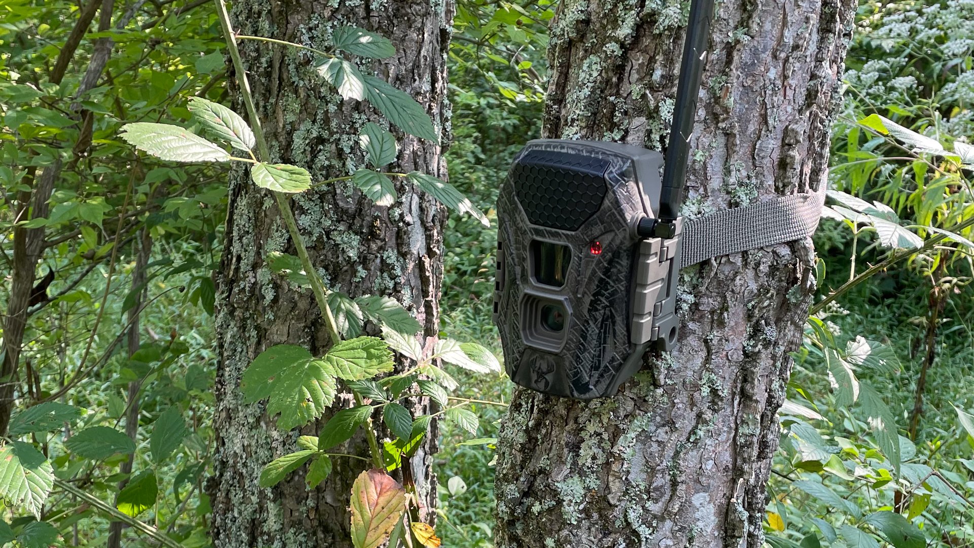 Wild Game Innovations Terra Cell Camera Review