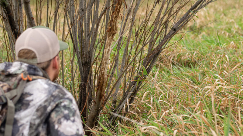 Why You Won't Kill A Buck On Opening Day