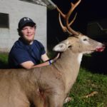 N/a Whitetail Deer In Wisconsin By Tyler