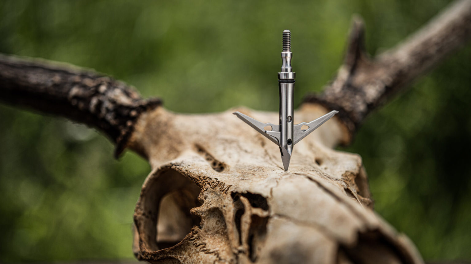 SEVR Broadheads in Stock and on Sale Now
