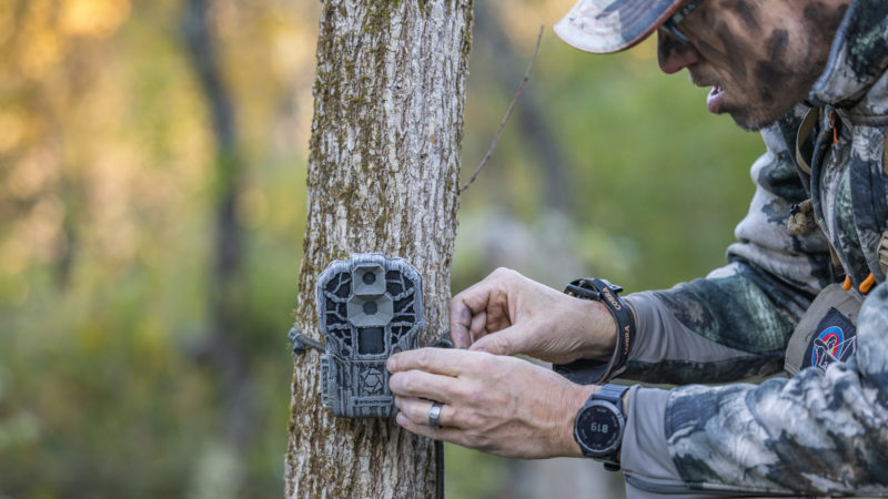Whitetail Chores You Should Do Now 13 Rut Hunting Mistakes To Avoid
