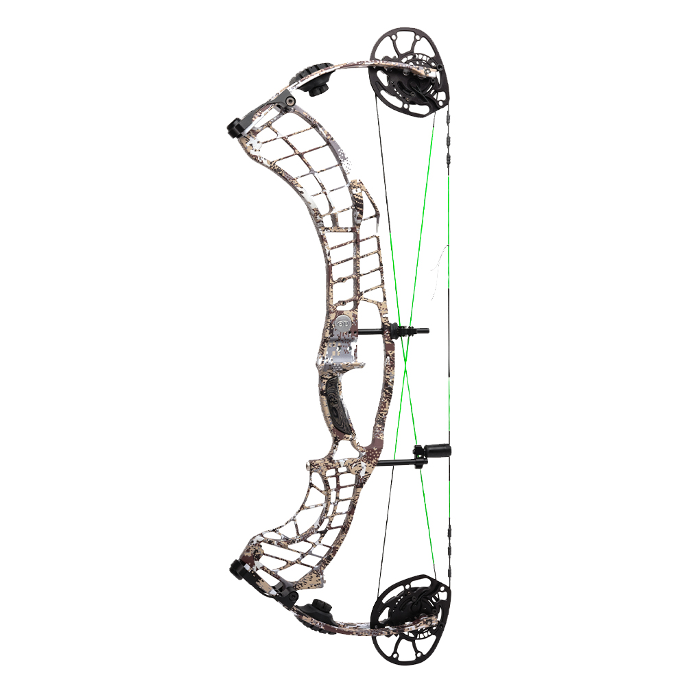 Top New Bows for 2023