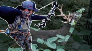 7.5 Year Old Buck Goes Down! Bowhunting The East Coast