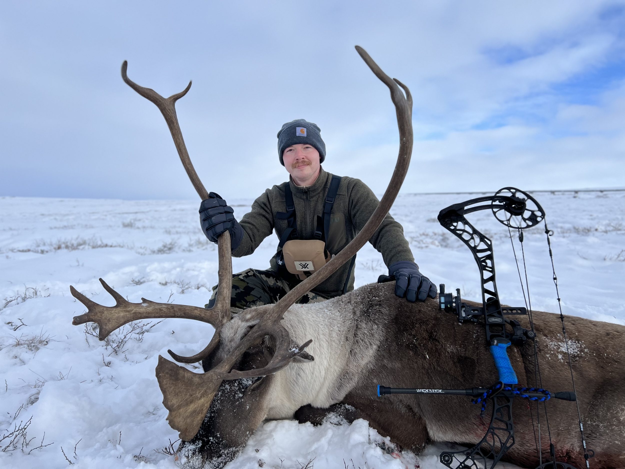Caribou in North Slope, Alaska by Dalton Blair