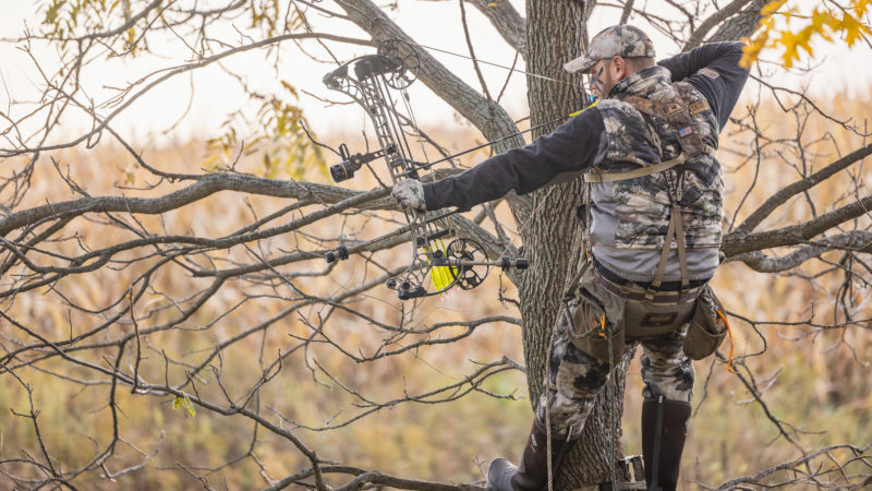 Why You Should Be In The Deer Stand Over Thanksgiving Break