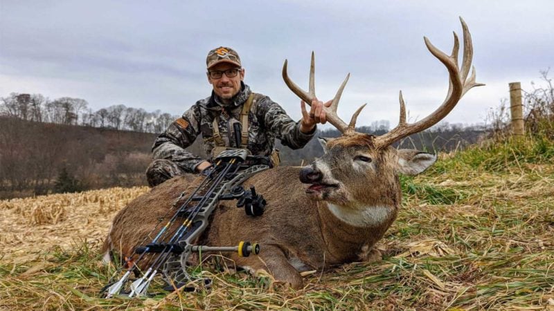 Todd's Buck