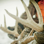 Why December Can Be The Best Time To Kill A Buck