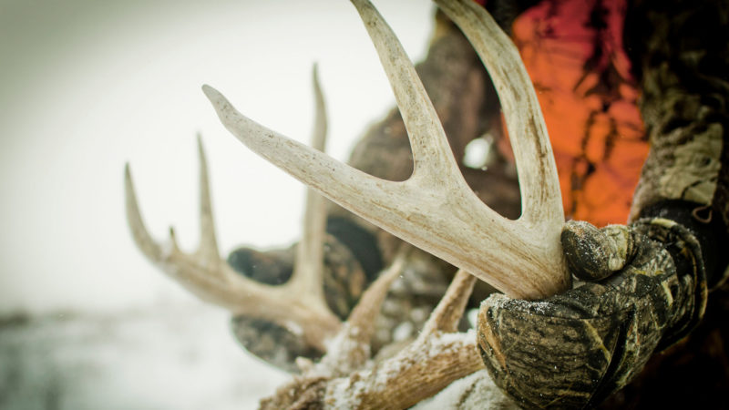 Why December Can Be The Best Time To Kill A Buck