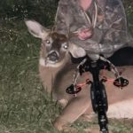 5 Deer In Tuscarawas By Bree Sorohan