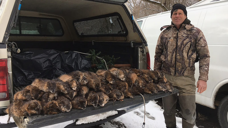 Wisconsin Bowhunter Crawls 600 Yards After Treestand Fall