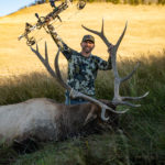 327 Elk In Wyoming By Josh Stubbs