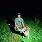 N/a Whitetail Doe In Minnesota By Davis Penhollow
