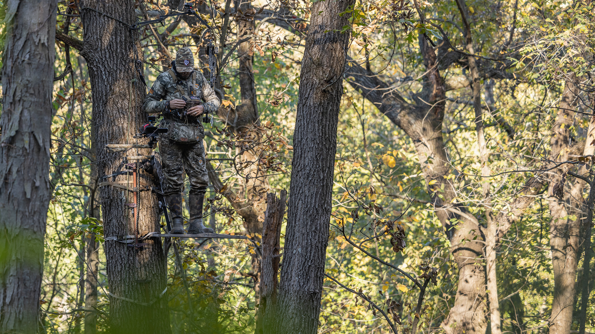 Does Height Matter? Busting Treestand Wary Bucks