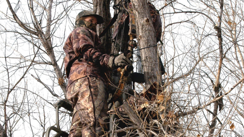 Does Height Matter? Busting Treestand Wary Bucks