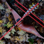 The Best Underrated Traditional Bows To Consider This Year