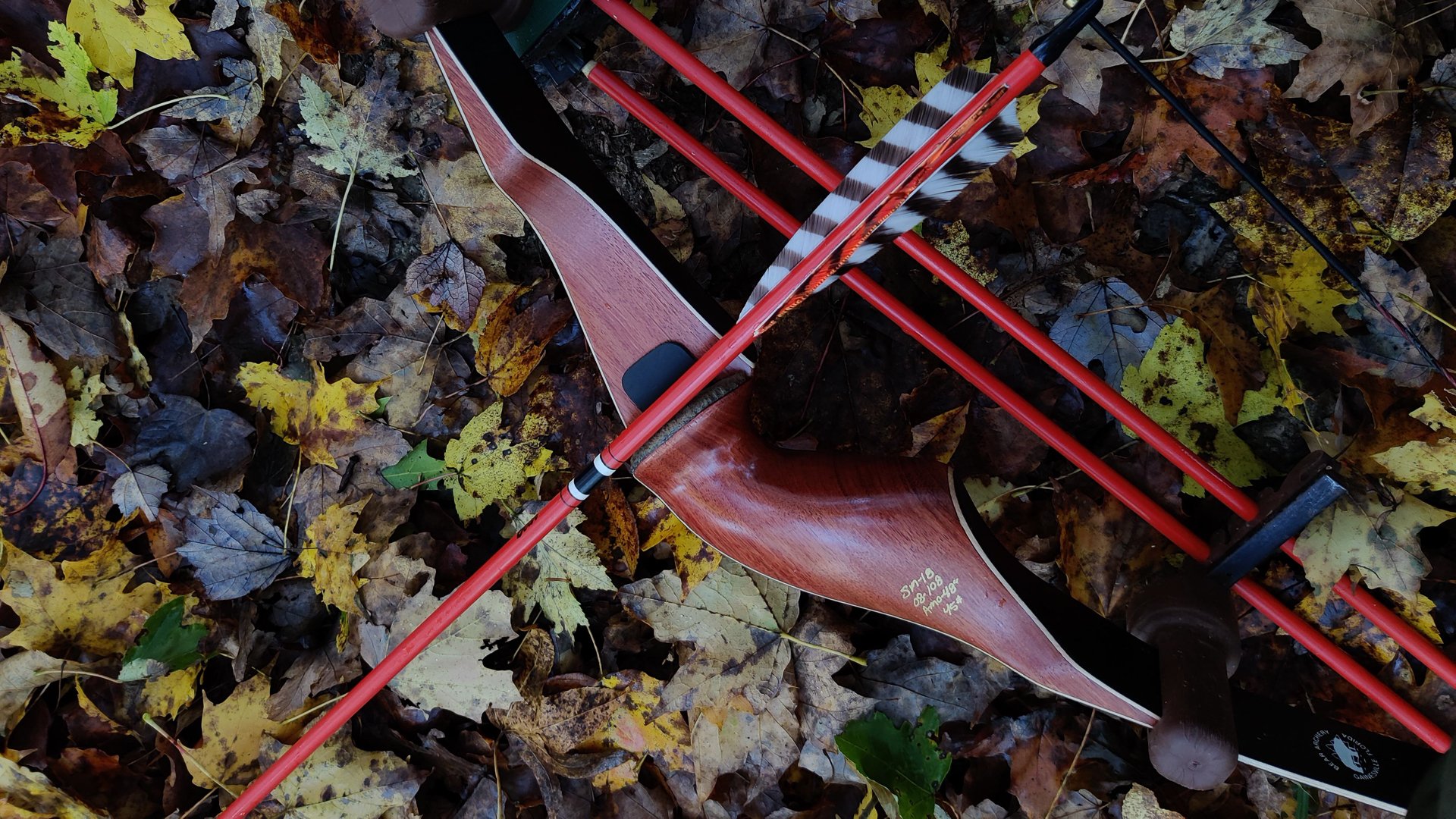 The Best Underrated Traditional Bows To Consider This Year