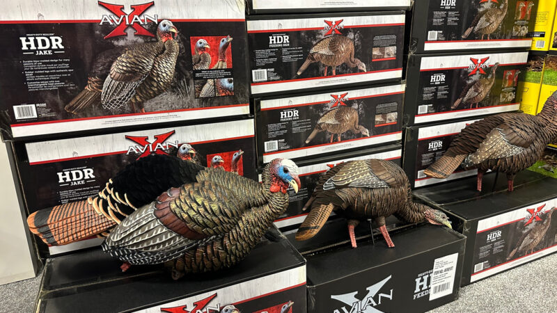 Best Turkey Hunting Gear For 2023