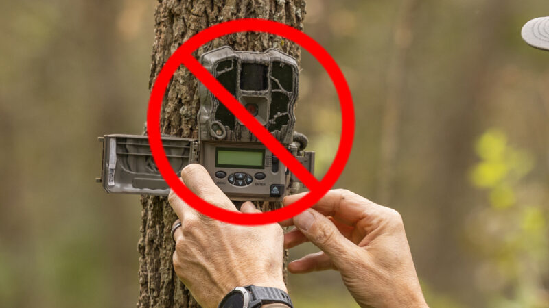 Kansas Bans Trail Cameras Image
