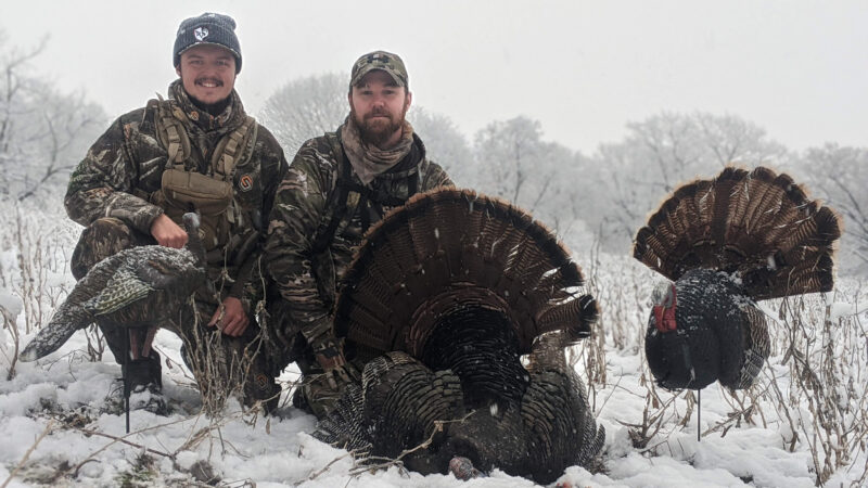 Are Expensive Turkey Decoys Really Worth It?