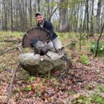 N/a Turkey Tom In Dewitt Michigan By Dennis Beardsley