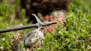 Best Turkey Broadheads
