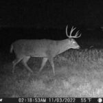 Age This Buck #27