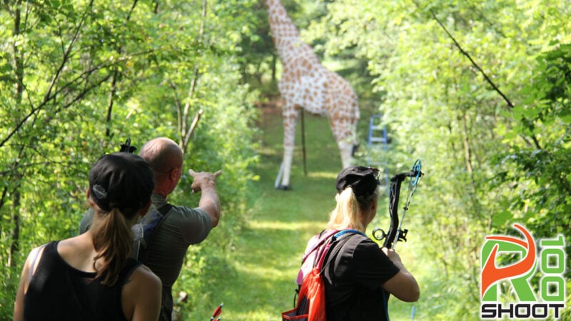 Top 3 D Archery Events To Attend This Summer