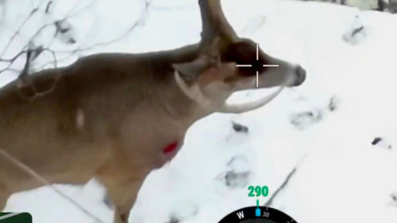 The Ethics Of Drones In Hunting